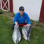 Campeggio Holmset And Fishing