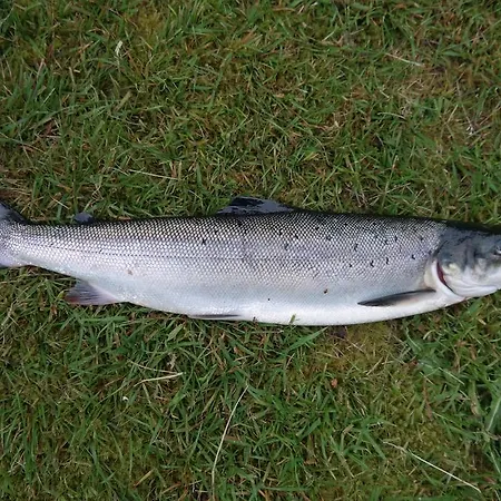 Campsite Holmset And Fishing *
