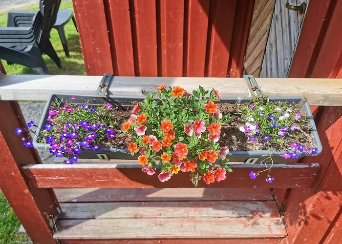 Holmset And Fishing * Namdalseid